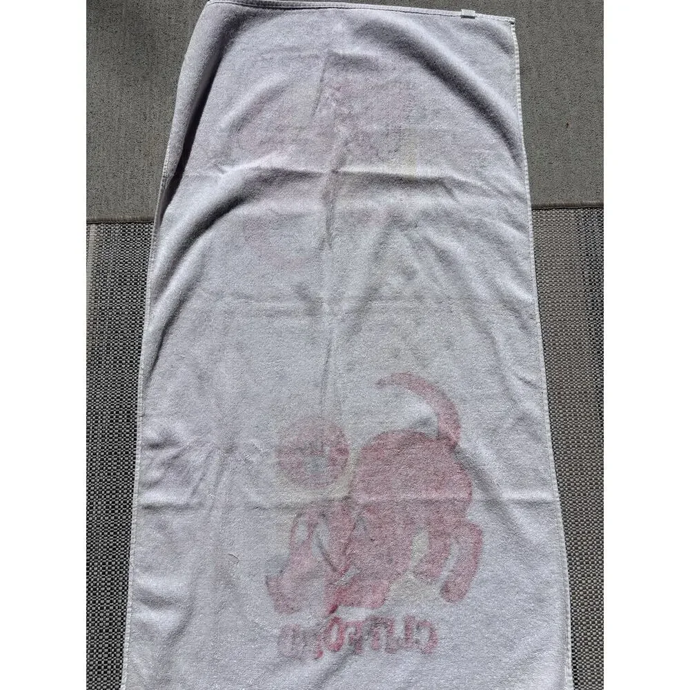 Clifford the Big Red Dog Beach Towel 41x53 Scholastic Kids Cotton 2001 Y2K